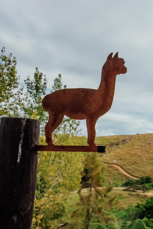 Luxury Stay, Alpaca Farm Парапарауму Экстерьер фото